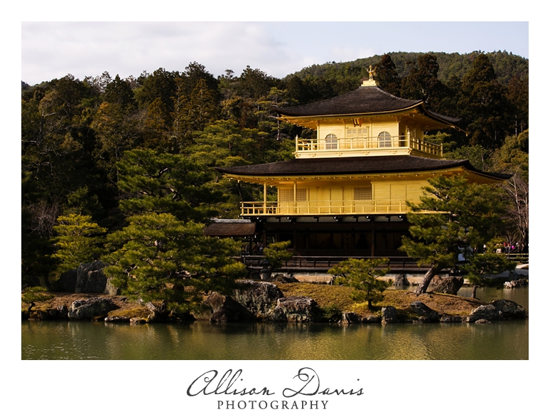Japan_Travel_Landscape_Photographer_Allison_Davis_Photography_0025