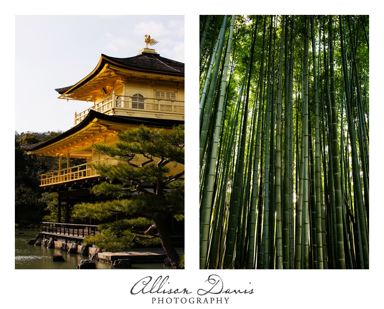 Japan_Travel_Landscape_Photographer_Allison_Davis_Photography_0026