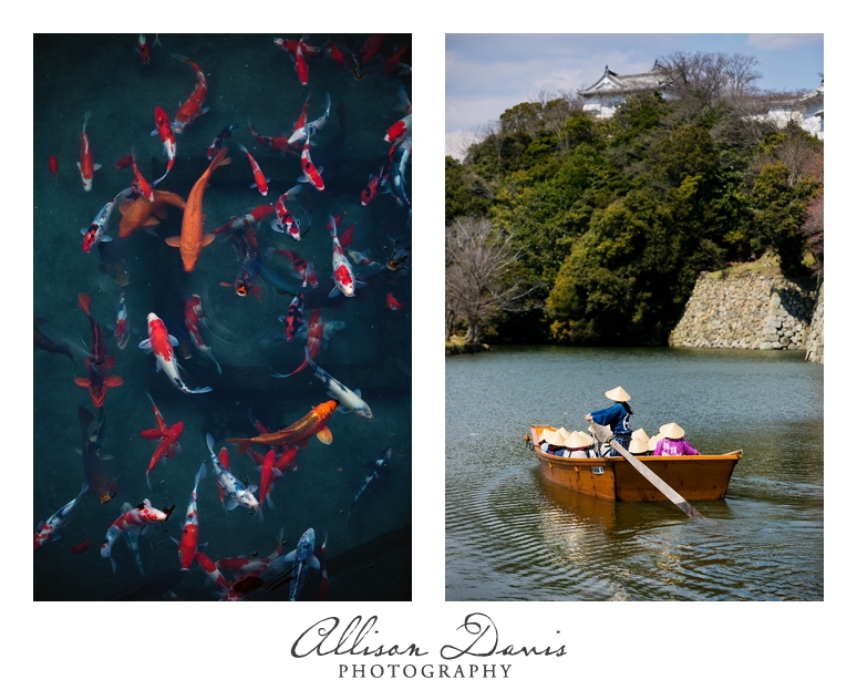 Japan_Travel_Landscape_Photographer_Allison_Davis_Photography_0030