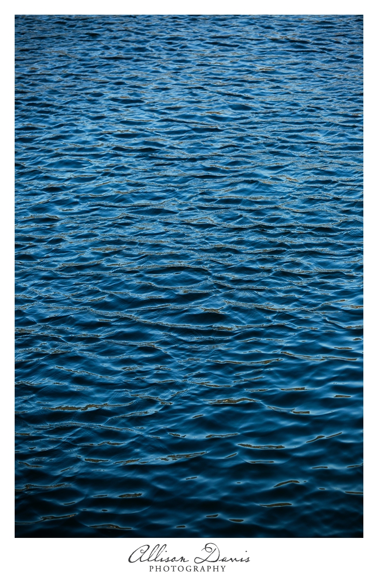 Japan_Travel_Landscape_Photographer_Allison_Davis_Photography_0033