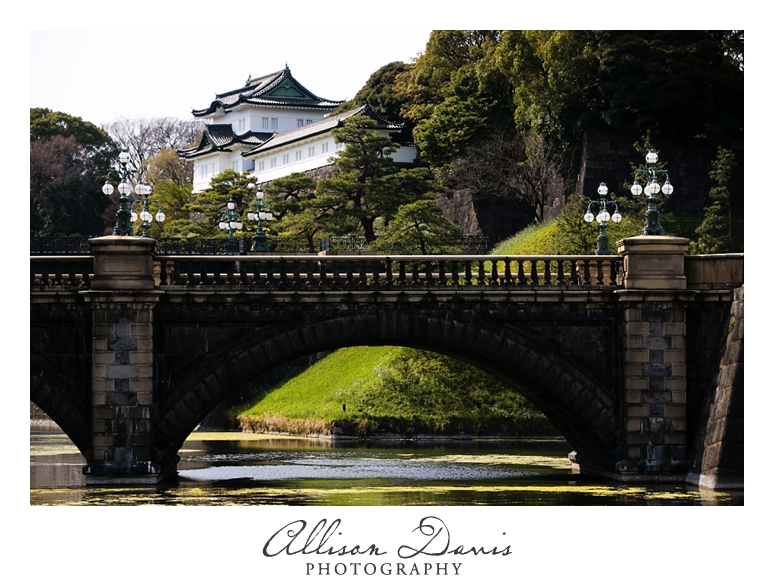 Japan_Travel_Landscape_Photographer_Allison_Davis_Photography_0034