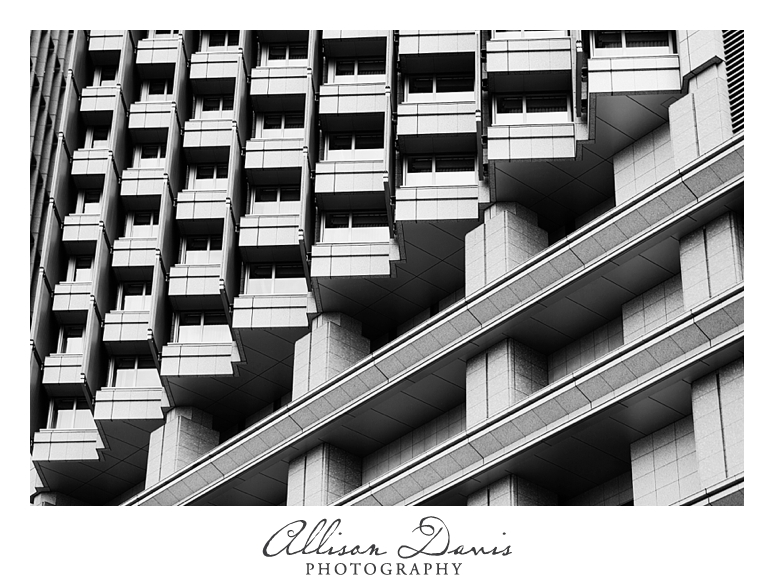 Japan_Travel_Landscape_Photographer_Allison_Davis_Photography_0035