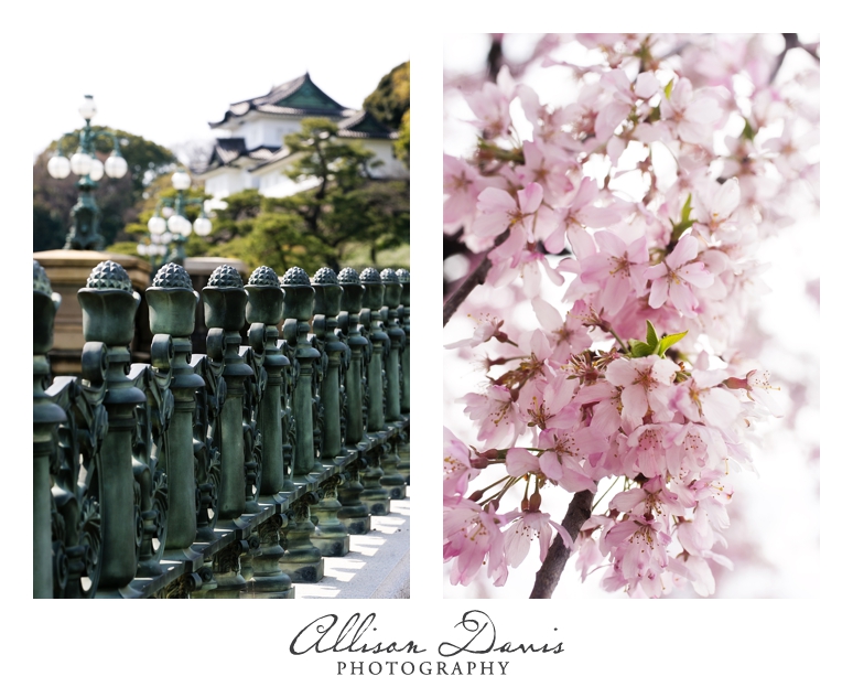 Japan_Travel_Landscape_Photographer_Allison_Davis_Photography_0038