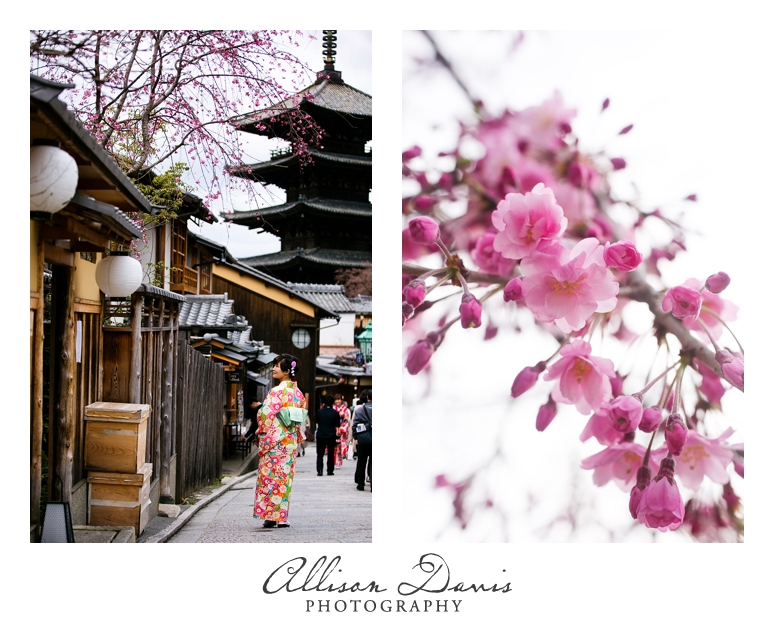 Japan_Travel_Landscape_Photographer_Allison_Davis_Photography_0039