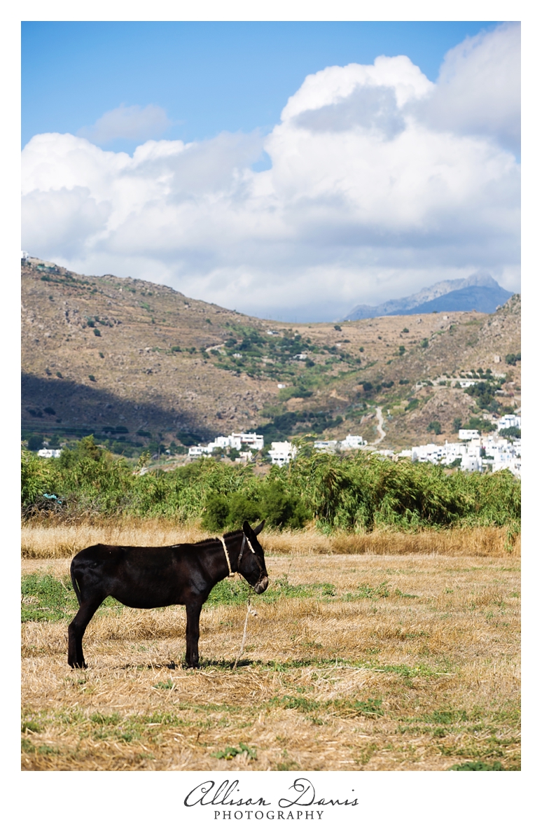 Landscape_Travel_Photography_Naxos_Greek_Islands_Allison_Davis_Photography_02