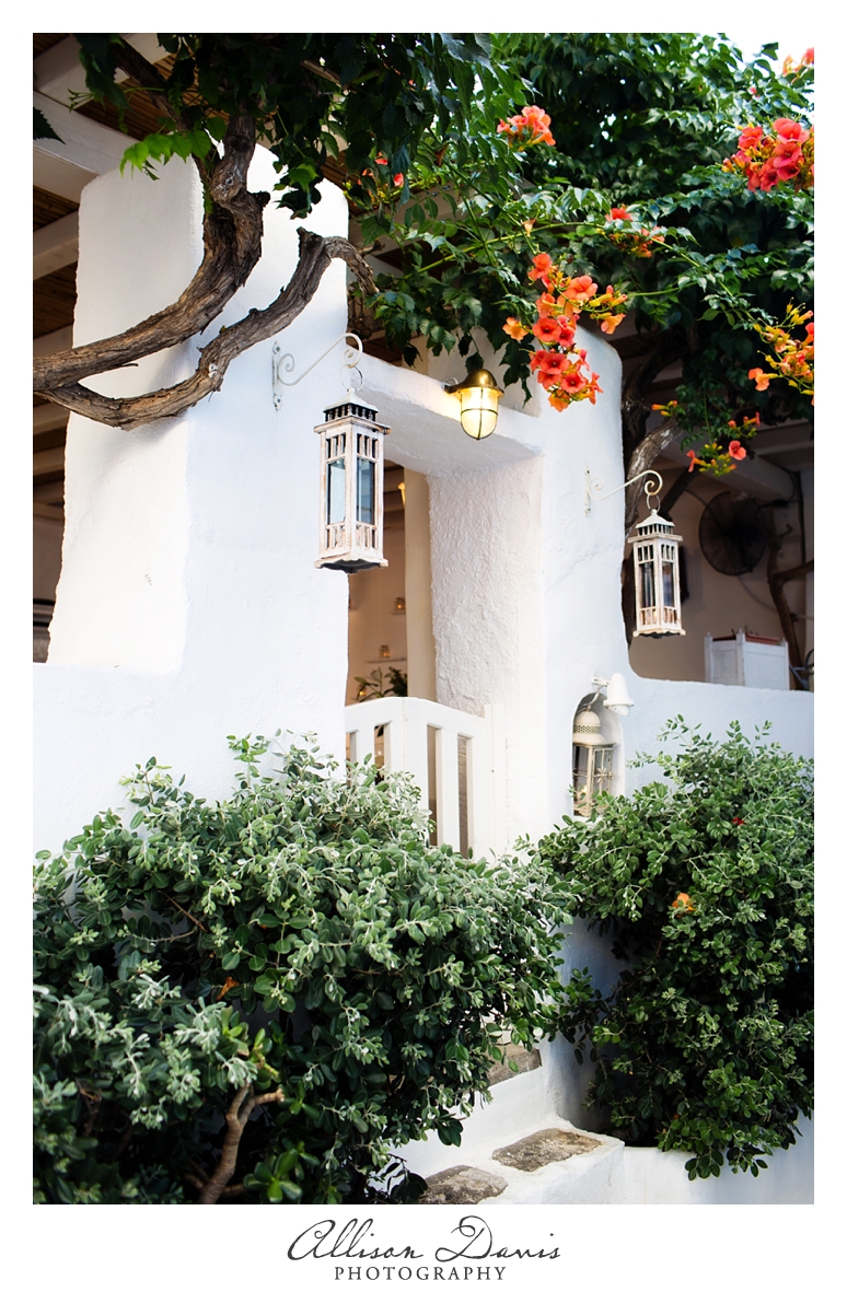 Landscape_Travel_Photography_Mykonos_Greek_Islands_Allison_Davis_Photography_19