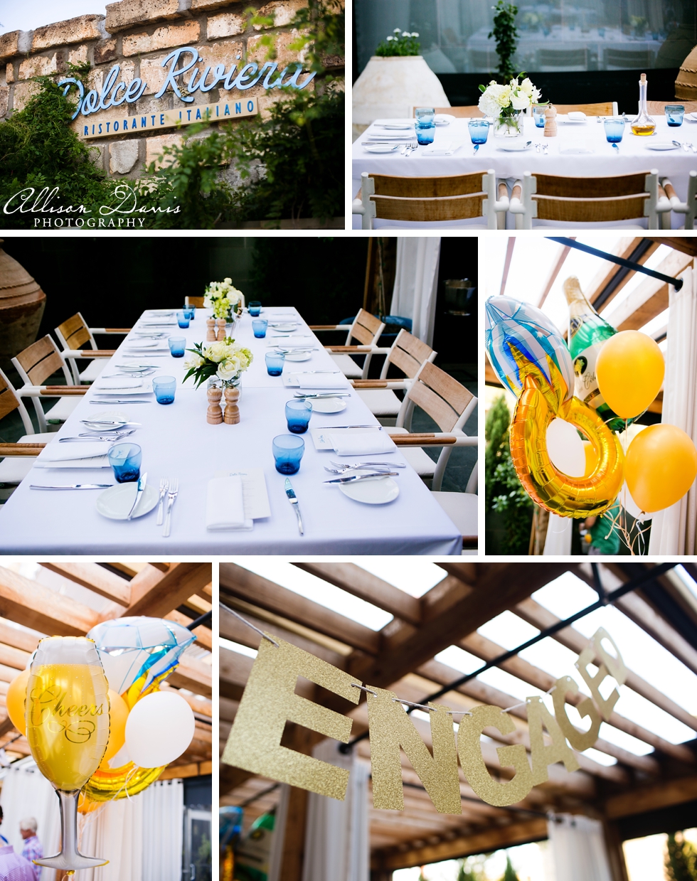 Blaine_Meredith_Dallas_Marie_Gabriel_Garden_Proposal_AllisonDavisPhotography_012